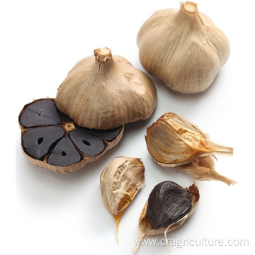 HALAL Certified Organic Fermented Black Garlic